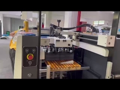 Máquina de verniz UV da série FHSGJ