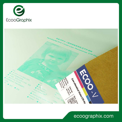 Placa violeta negativa de Digitas Photopolymer CTP para a impressão do jornal