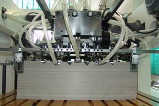 Da folha automática do grande formato de Ecoographix máquina de carimbo e cortando