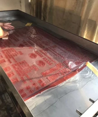 EcooGraphix Processador de Máquina de Desenvolvimento de Placas Flexo