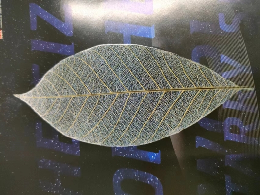 590x760 Máquina de revestimento e folha de vidro digital com verniz UV