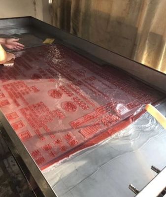FP-900 Processador de Placas Flexo CTP com base em solvente de 920 mm*680 mm